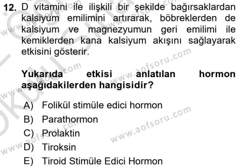 Temel Veteriner Biyokimya Dersi 2021 - 2022 Yılı Yaz Okulu Sınavı 12. Soru