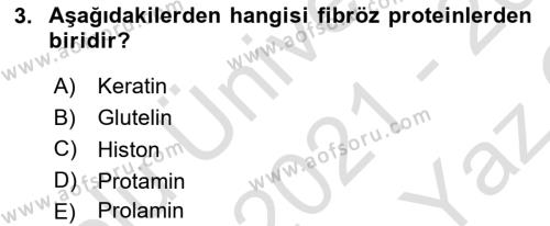 Temel Veteriner Biyokimya Dersi 2021 - 2022 Yılı Yaz Okulu Sınavı 3. Soru