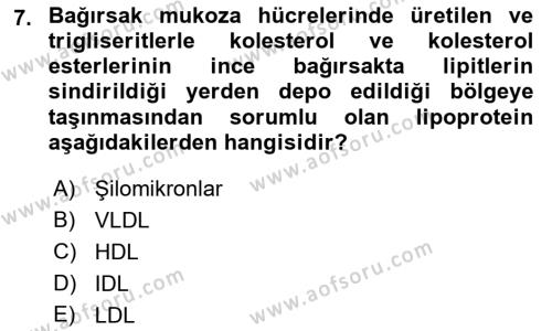 Temel Veteriner Biyokimya Dersi 2021 - 2022 Yılı Yaz Okulu Sınavı 7. Soru