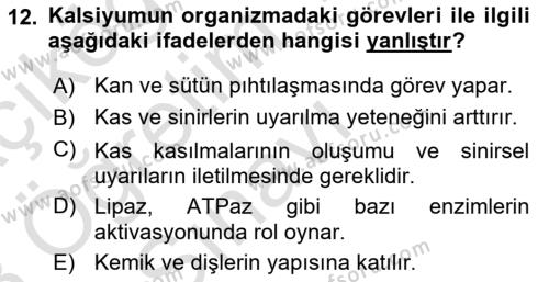 Temel Veteriner Biyokimya Dersi 2022 - 2023 Yılı Yaz Okulu Sınavı 12. Soru