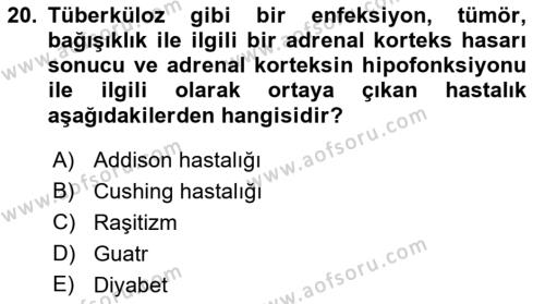 Temel Veteriner Biyokimya Dersi 2022 - 2023 Yılı Yaz Okulu Sınavı 20. Soru