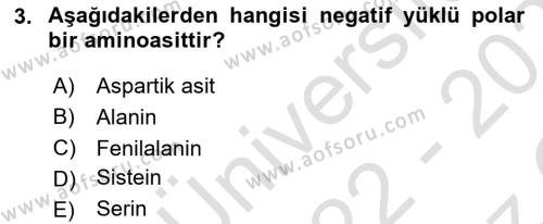 Temel Veteriner Biyokimya Dersi 2022 - 2023 Yılı Yaz Okulu Sınavı 3. Soru