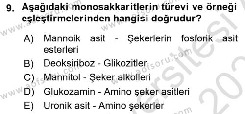 Temel Veteriner Biyokimya Dersi 2023 - 2024 Yılı (Vize) Ara Sınavı 9. Soru