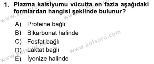 Temel Veteriner Biyokimya Dersi 2023 - 2024 Yılı (Final) Dönem Sonu Sınavı 1. Soru