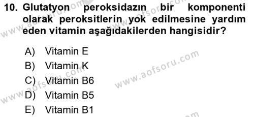 Temel Veteriner Biyokimya Dersi 2023 - 2024 Yılı (Final) Dönem Sonu Sınavı 10. Soru