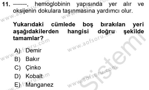 Temel Veteriner Biyokimya Dersi 2023 - 2024 Yılı (Final) Dönem Sonu Sınavı 11. Soru