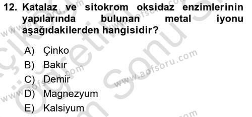 Temel Veteriner Biyokimya Dersi 2023 - 2024 Yılı (Final) Dönem Sonu Sınavı 12. Soru