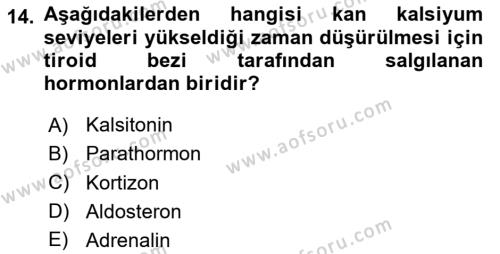 Temel Veteriner Biyokimya Dersi 2023 - 2024 Yılı (Final) Dönem Sonu Sınavı 14. Soru