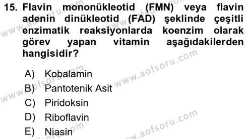 Temel Veteriner Biyokimya Dersi 2023 - 2024 Yılı (Final) Dönem Sonu Sınavı 15. Soru