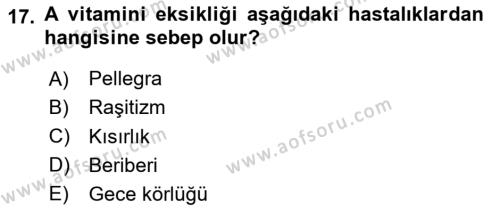 Temel Veteriner Biyokimya Dersi 2023 - 2024 Yılı (Final) Dönem Sonu Sınavı 17. Soru