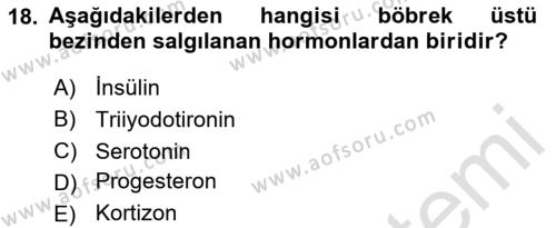 Temel Veteriner Biyokimya Dersi 2023 - 2024 Yılı (Final) Dönem Sonu Sınavı 18. Soru