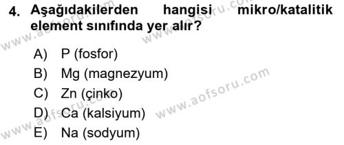 Temel Veteriner Biyokimya Dersi 2023 - 2024 Yılı (Final) Dönem Sonu Sınavı 4. Soru