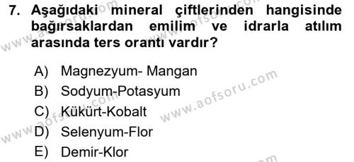 Temel Veteriner Biyokimya Dersi 2023 - 2024 Yılı (Final) Dönem Sonu Sınavı 7. Soru