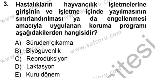 Temel Sürü Sağlığı Yönetimi Dersi 2012 - 2013 Yılı (Vize) Ara Sınavı 3. Soru