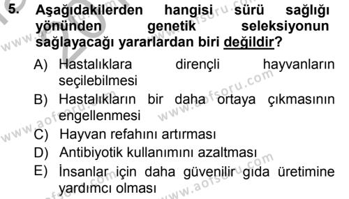 Temel Sürü Sağlığı Yönetimi Dersi 2012 - 2013 Yılı (Vize) Ara Sınavı 5. Soru