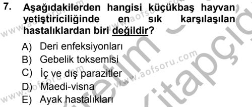 Temel Sürü Sağlığı Yönetimi Dersi 2012 - 2013 Yılı (Vize) Ara Sınavı 7. Soru