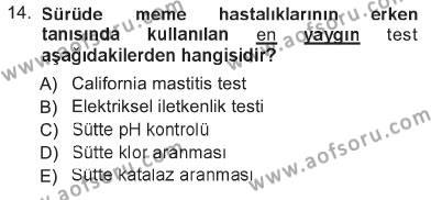 Temel Sürü Sağlığı Yönetimi Dersi 2012 - 2013 Yılı Tek Ders Sınavı 14. Soru