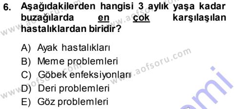 Temel Sürü Sağlığı Yönetimi Dersi 2013 - 2014 Yılı (Vize) Ara Sınavı 6. Soru