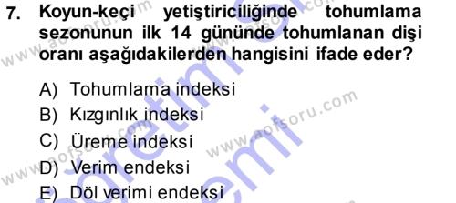 Temel Sürü Sağlığı Yönetimi Dersi 2013 - 2014 Yılı (Vize) Ara Sınavı 7. Soru