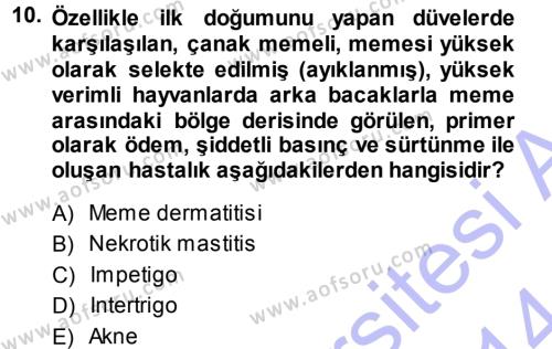 Temel Sürü Sağlığı Yönetimi Dersi 2013 - 2014 Yılı (Final) Dönem Sonu Sınavı 10. Soru