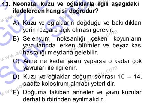 Temel Sürü Sağlığı Yönetimi Dersi 2013 - 2014 Yılı (Final) Dönem Sonu Sınavı 13. Soru