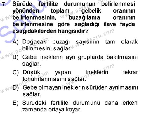 Temel Sürü Sağlığı Yönetimi Dersi 2013 - 2014 Yılı (Final) Dönem Sonu Sınavı 7. Soru