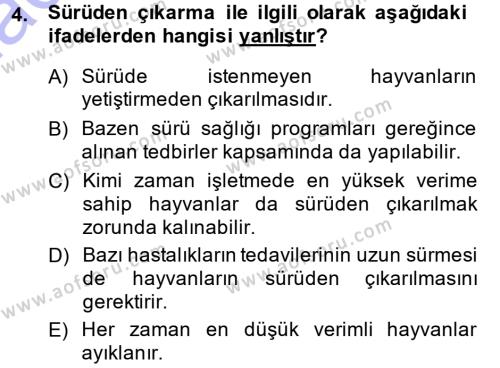Temel Sürü Sağlığı Yönetimi Dersi 2014 - 2015 Yılı (Vize) Ara Sınavı 4. Soru