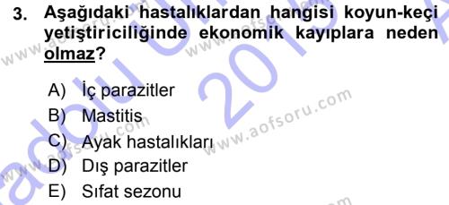 Temel Sürü Sağlığı Yönetimi Dersi 2015 - 2016 Yılı (Vize) Ara Sınavı 3. Soru