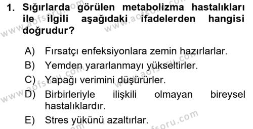 Temel Sürü Sağlığı Yönetimi Dersi 2019 - 2020 Yılı (Final) Dönem Sonu Sınavı 1. Soru