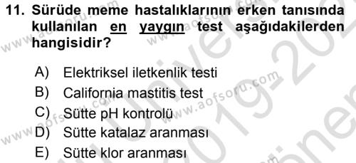 Temel Sürü Sağlığı Yönetimi Dersi 2019 - 2020 Yılı (Final) Dönem Sonu Sınavı 11. Soru