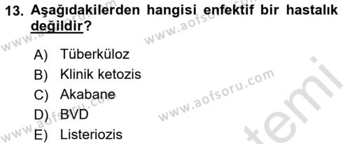 Temel Sürü Sağlığı Yönetimi Dersi 2019 - 2020 Yılı (Final) Dönem Sonu Sınavı 13. Soru