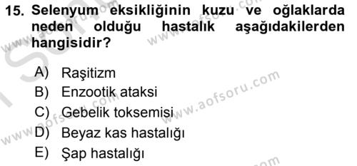 Temel Sürü Sağlığı Yönetimi Dersi 2019 - 2020 Yılı (Final) Dönem Sonu Sınavı 15. Soru