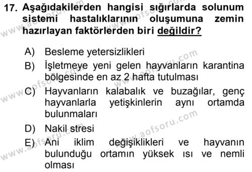 Temel Sürü Sağlığı Yönetimi Dersi 2019 - 2020 Yılı (Final) Dönem Sonu Sınavı 17. Soru