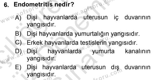 Temel Sürü Sağlığı Yönetimi Dersi 2019 - 2020 Yılı (Final) Dönem Sonu Sınavı 6. Soru