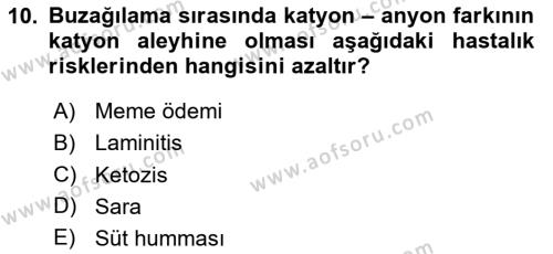 Temel Sürü Sağlığı Yönetimi Dersi 2023 - 2024 Yılı Yaz Okulu Sınavı 10. Soru