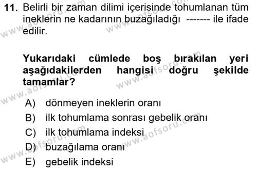 Temel Sürü Sağlığı Yönetimi Dersi 2023 - 2024 Yılı Yaz Okulu Sınavı 11. Soru