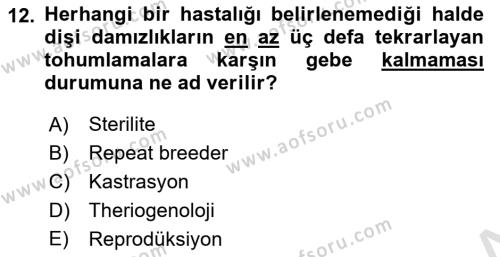 Temel Sürü Sağlığı Yönetimi Dersi 2023 - 2024 Yılı Yaz Okulu Sınavı 12. Soru
