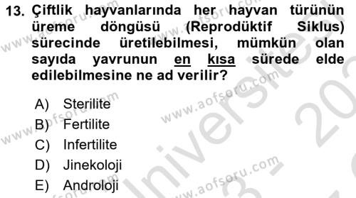 Temel Sürü Sağlığı Yönetimi Dersi 2023 - 2024 Yılı Yaz Okulu Sınavı 13. Soru