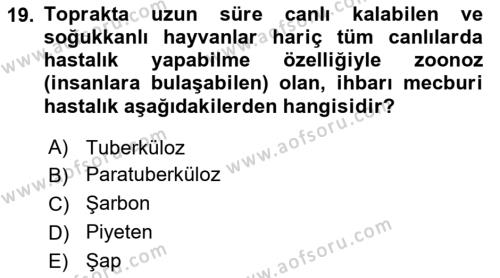 Temel Sürü Sağlığı Yönetimi Dersi 2023 - 2024 Yılı Yaz Okulu Sınavı 19. Soru