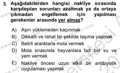 Temel Sürü Sağlığı Yönetimi Dersi 2023 - 2024 Yılı Yaz Okulu Sınavı 3. Soru