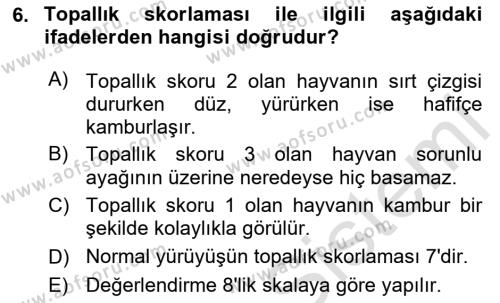 Temel Sürü Sağlığı Yönetimi Dersi 2023 - 2024 Yılı Yaz Okulu Sınavı 6. Soru