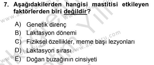 Temel Sürü Sağlığı Yönetimi Dersi 2023 - 2024 Yılı Yaz Okulu Sınavı 7. Soru