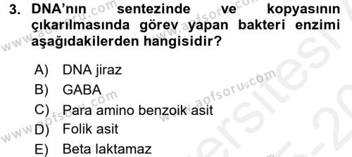 Temel Veteriner Farmakoloji ve Toksikoloji Dersi 2015 - 2016 Yılı Tek Ders Sınavı 3. Soru