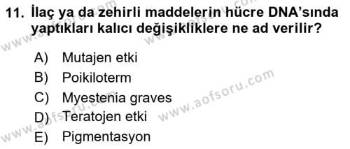 Temel Veteriner Farmakoloji ve Toksikoloji Dersi 2020 - 2021 Yılı Yaz Okulu Sınavı 11. Soru