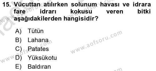 Temel Veteriner Farmakoloji ve Toksikoloji Dersi 2020 - 2021 Yılı Yaz Okulu Sınavı 15. Soru