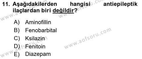 Temel Veteriner Farmakoloji ve Toksikoloji Dersi 2021 - 2022 Yılı (Vize) Ara Sınavı 11. Soru