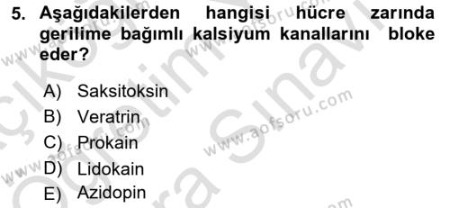 Temel Veteriner Farmakoloji ve Toksikoloji Dersi 2021 - 2022 Yılı (Vize) Ara Sınavı 5. Soru