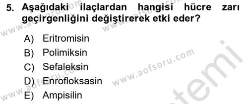 Temel Veteriner Farmakoloji ve Toksikoloji Dersi 2021 - 2022 Yılı (Final) Dönem Sonu Sınavı 5. Soru