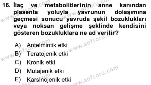 Temel Veteriner Farmakoloji ve Toksikoloji Dersi 2021 - 2022 Yılı Yaz Okulu Sınavı 16. Soru