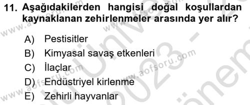 Temel Veteriner Farmakoloji ve Toksikoloji Dersi 2023 - 2024 Yılı (Final) Dönem Sonu Sınavı 11. Soru